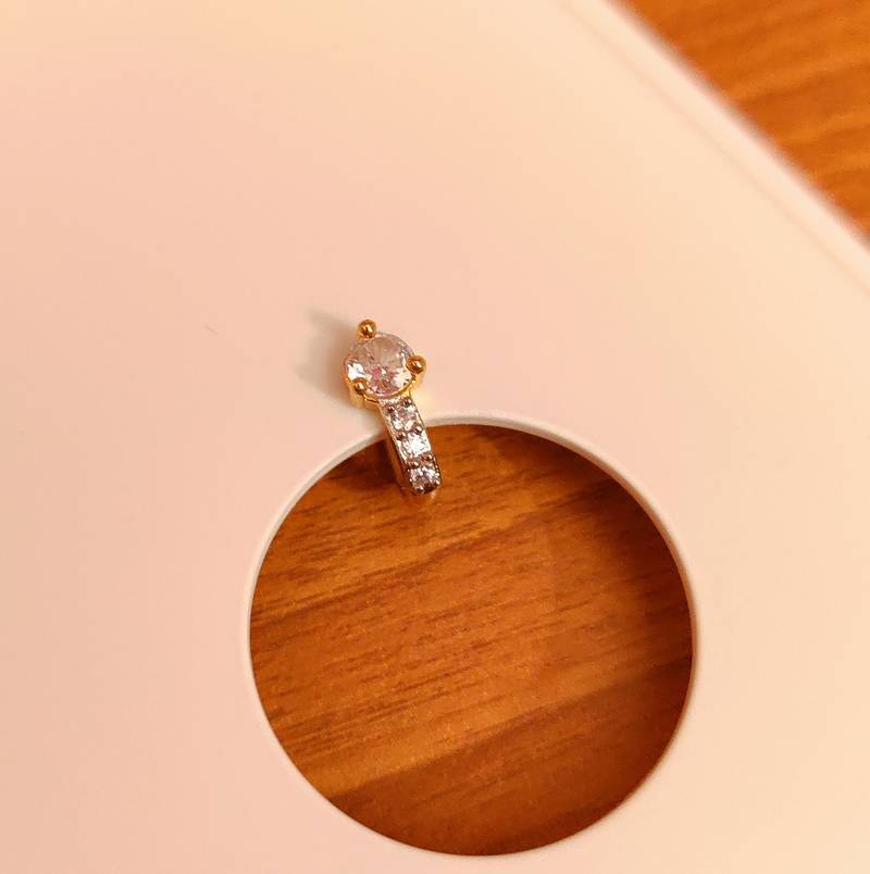 SINGLE STONE CZ STUDDED DIAMOND LOOK PRESSABLE NOSE RING – Sanvi Jewels