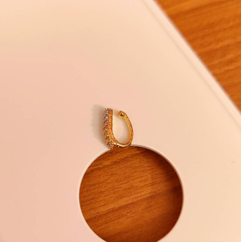 DOUBLE LINE CZ STUDDED PRESSABLE NOSE RING